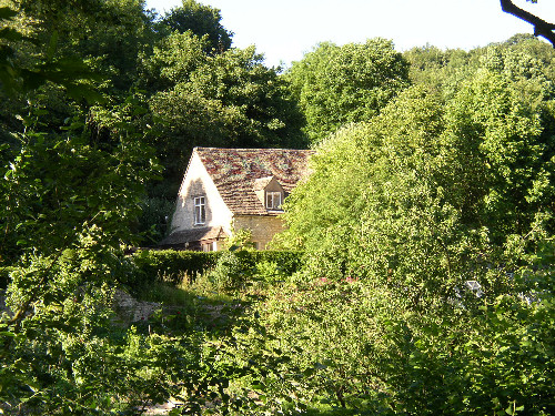 summerfield